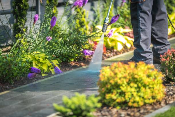 Best Dumpster Area Cleaning  in Atwood, IL